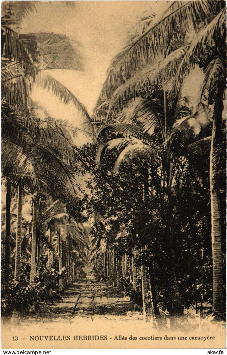 PC NEW HEBRIDES, ALLÉ DES COCOTIERS, Vintage Postcard (b53606) - Vanuatu