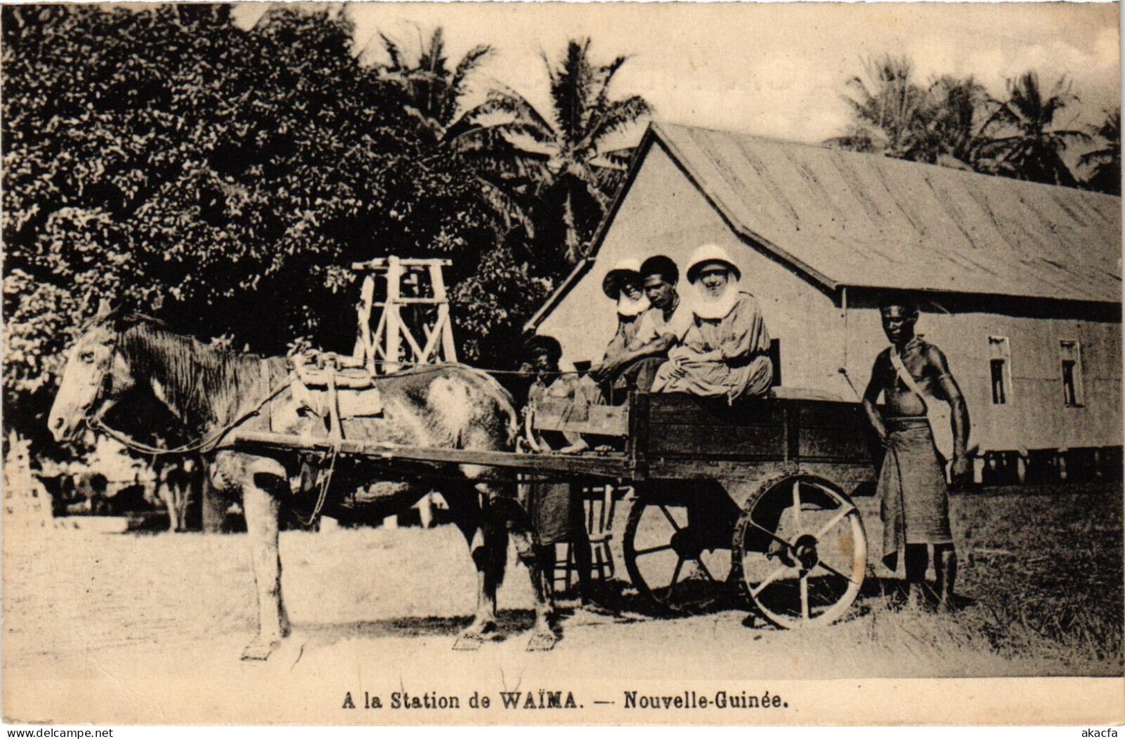 PC NEW GUINEA, A LA STATION DE WAIMA, Vintage Postcard (b53552) - Papua New Guinea