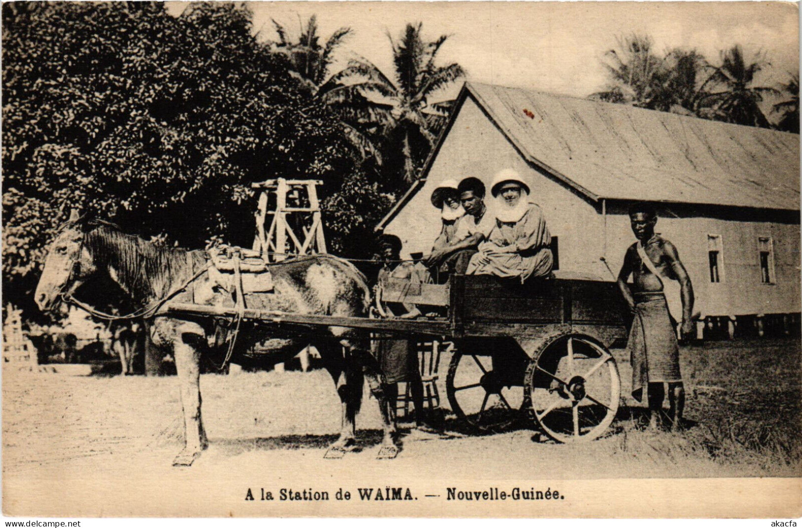 PC NEW GUINEA, A LA STATON DE WAIMA, Vintage Postcard (b53528) - Papouasie-Nouvelle-Guinée