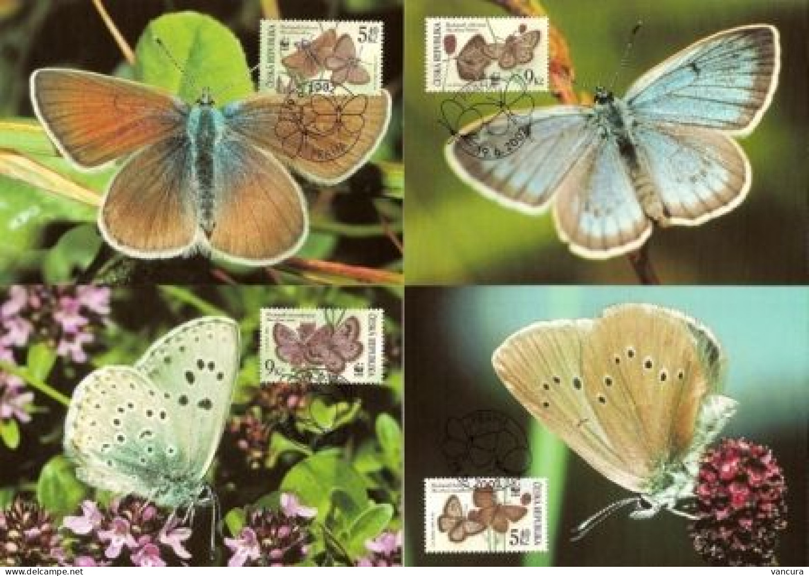 CM 326-9 Czech Republic/WWF Protected Butterfly 2002 - Vlinders