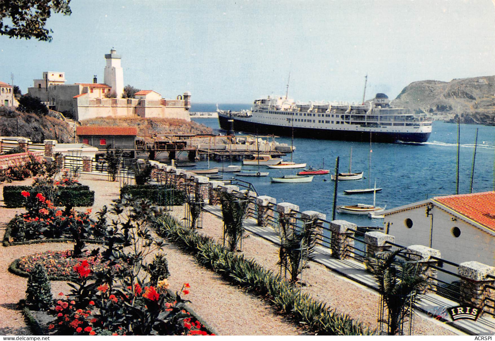 PORT-VENDRES  Le Courrier D'Algérie Quittant Le Port     25 (scan Recto Verso)MH2980 - Port Vendres