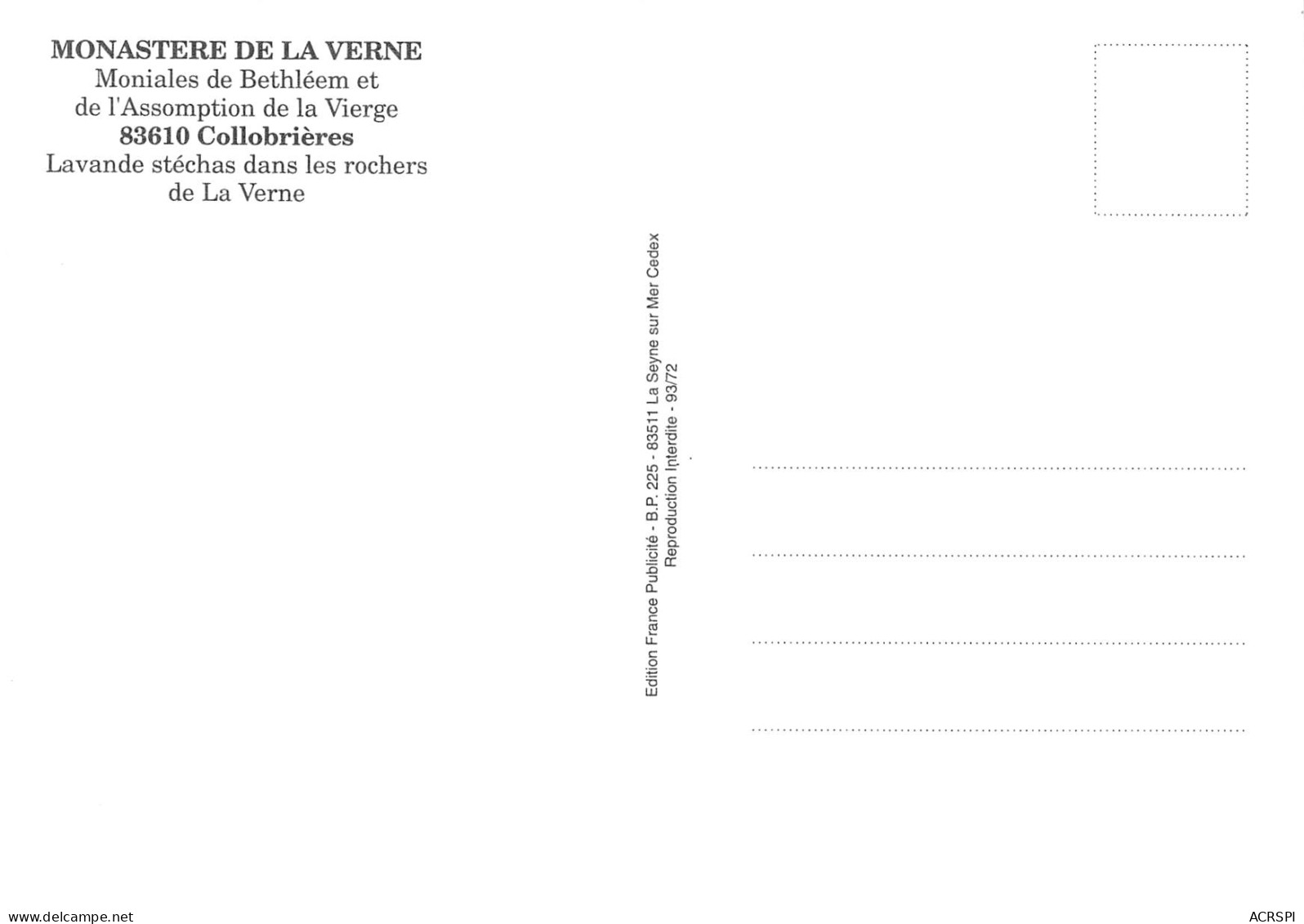 COLLOBRIERES  Lavande Stéchas Dans Les Rochers De La Verne   15 (scan Recto Verso)MH2989 - Collobrieres