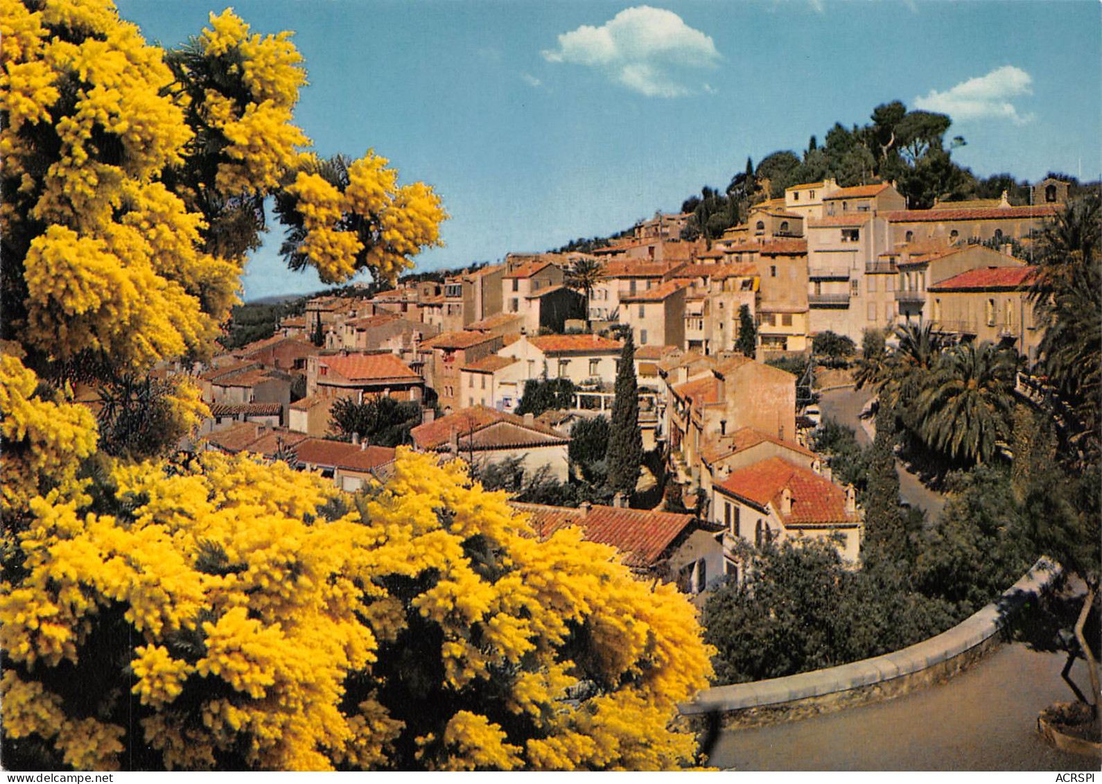 BORMES LES MIMOSAS  Vue Générale Du Vieux Village    30 (scan Recto Verso)MH2989 - Bormes-les-Mimosas