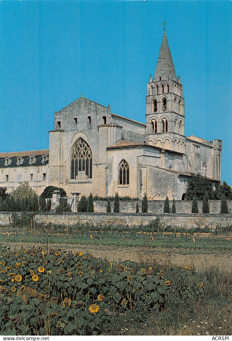 16 BASSAC Abbatiale St Etienne Environs De CHATEAUNEUF SUR CHARENTE  12 (scan Recto Verso)MH2991 - Chateauneuf Sur Charente