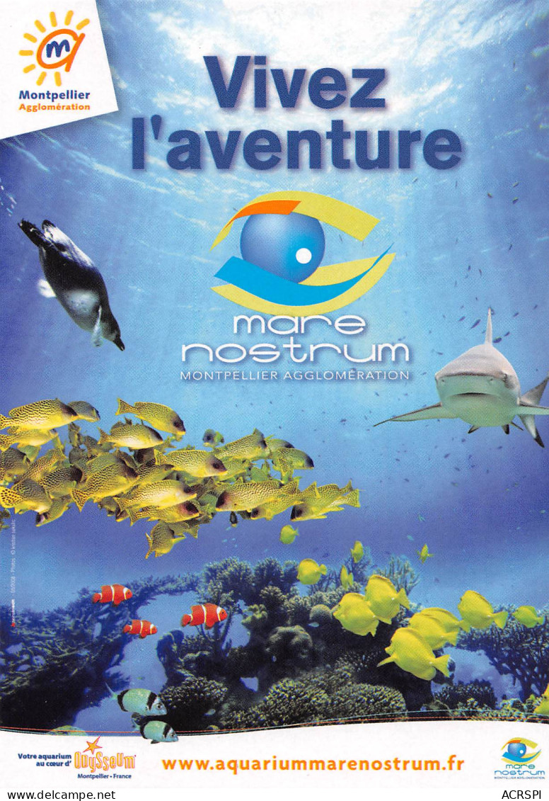34 MONTPELLIER  Aquarium MARE NOSTRUM  61 (scan Recto Verso)MH2991 - Advertising