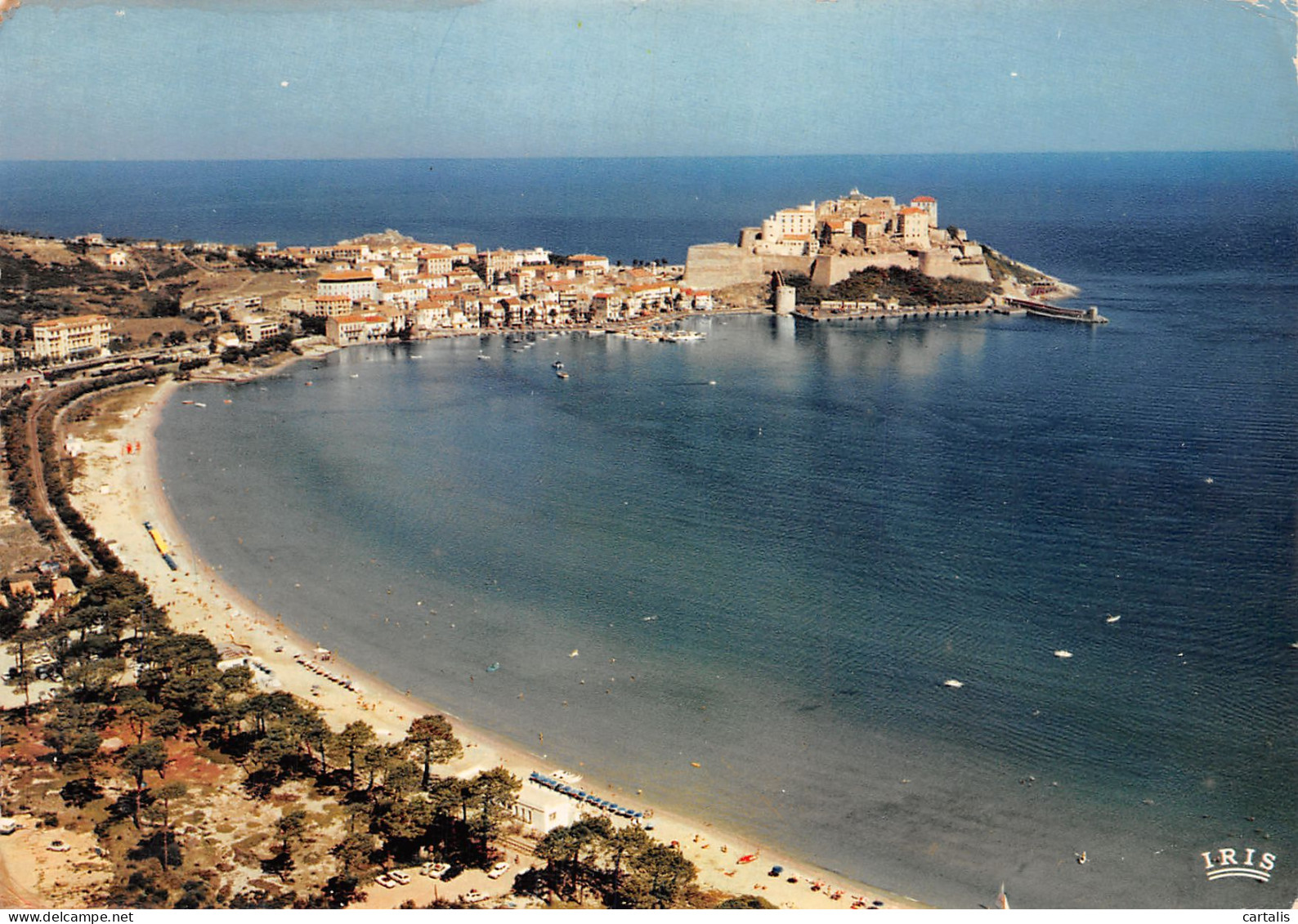 2B-CALVI-N°C4099-C/0029 - Calvi