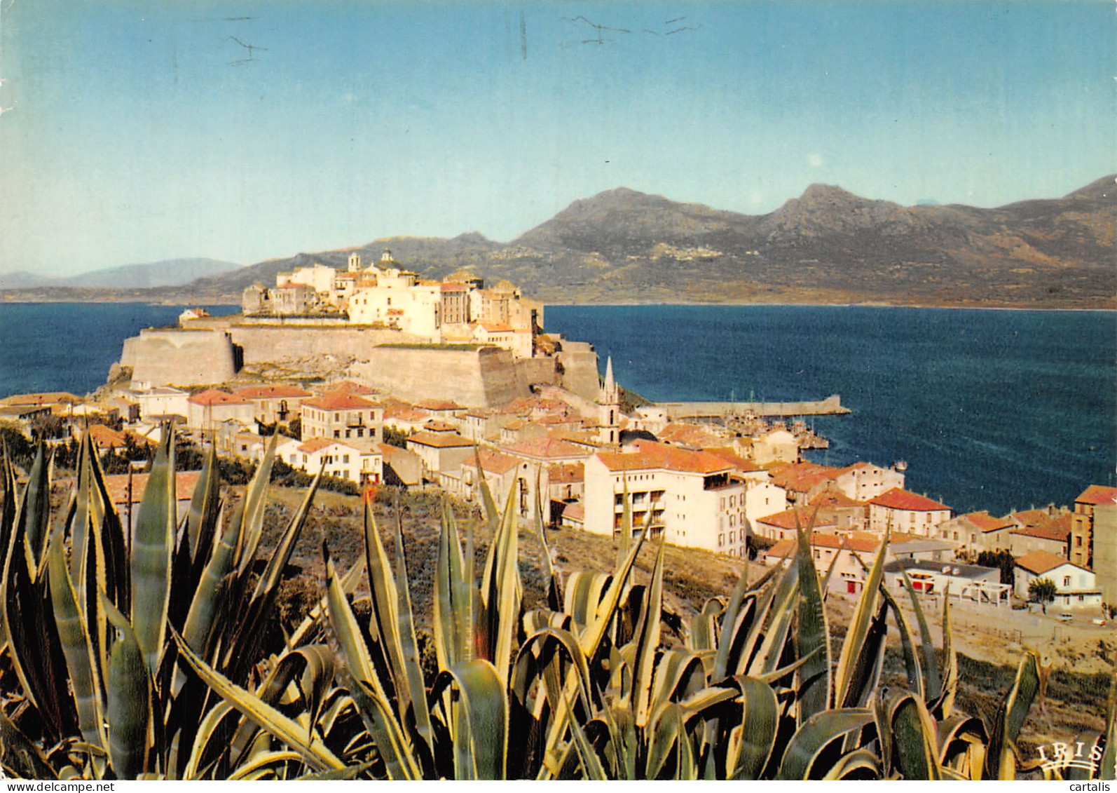 2B-CALVI-N°C4099-C/0031 - Calvi