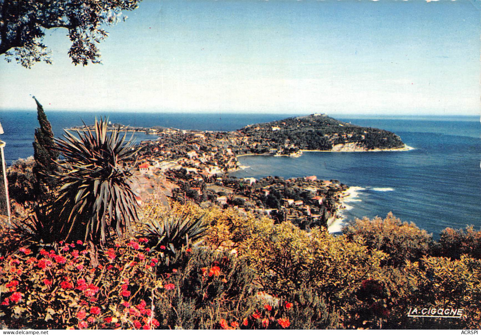 SAINT JEAN CAP FERRAT Vue Generale 36 (scan Recto Verso)MH2902UND - Saint-Jean-Cap-Ferrat