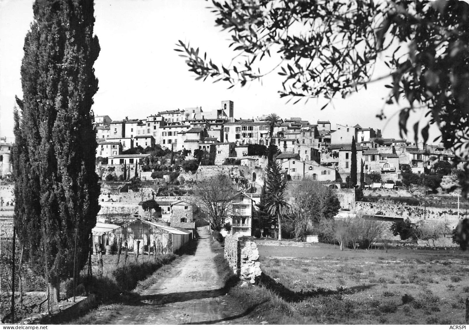 BIOT  Vue Sur La Ville  55 (scan Recto Verso)MH2906BIS - Biot