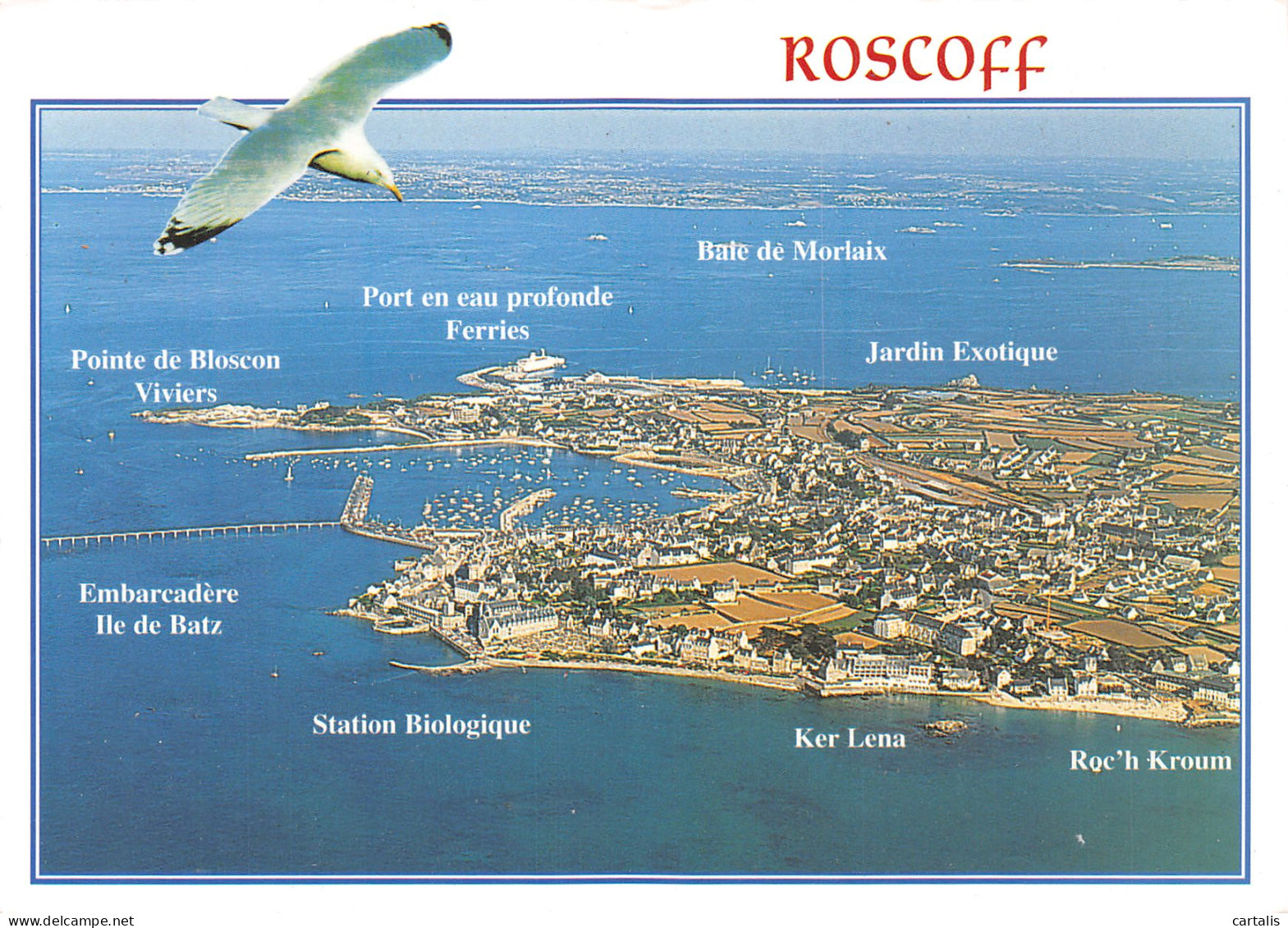 29-ROSCOFF-N°C4100-D/0351 - Roscoff