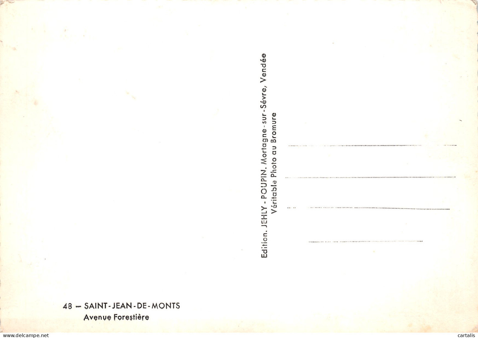 85-SAINT JEAN DE MONTS-N°C4100-D/0015 - Saint Jean De Monts