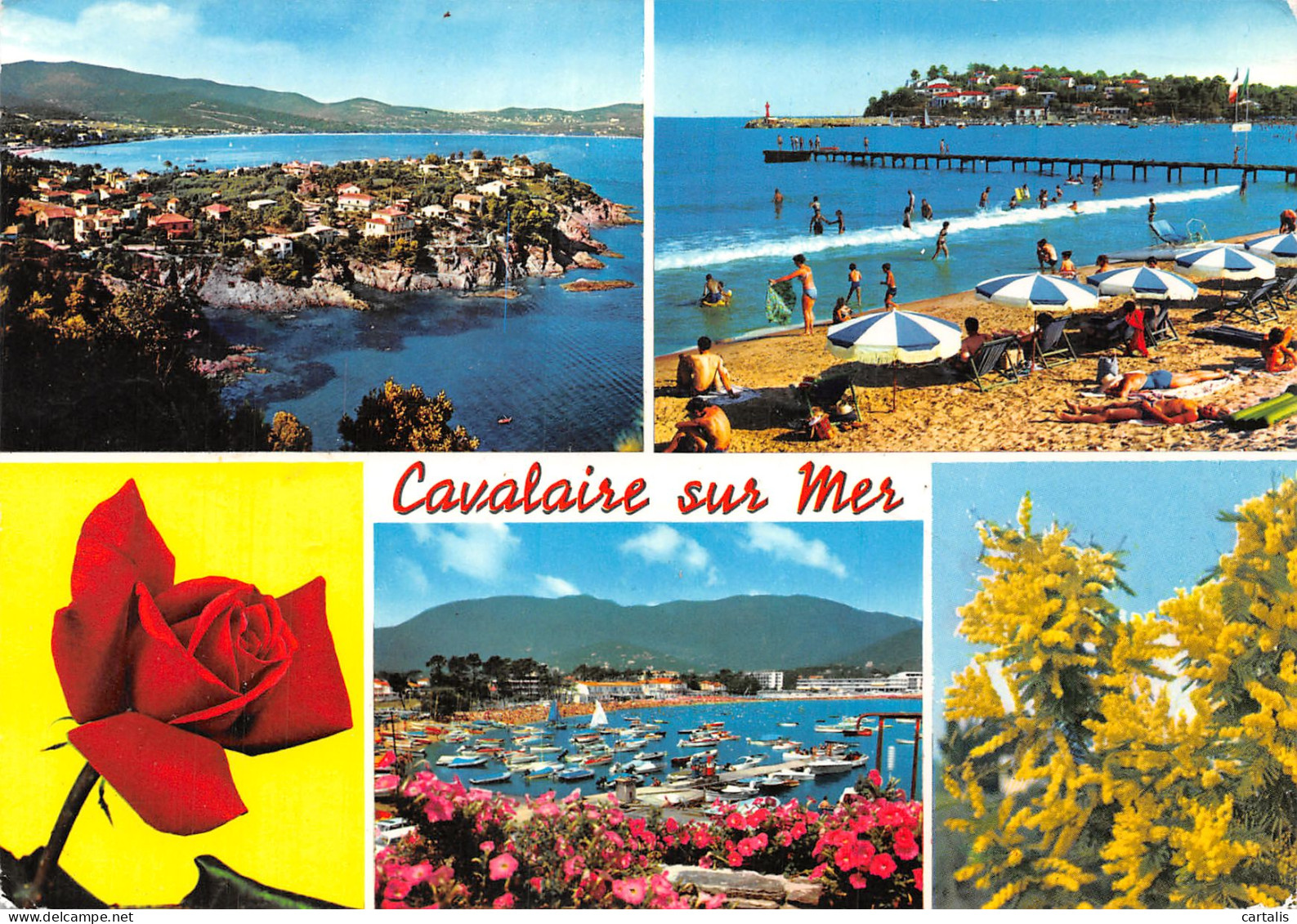 83-CAVALAIRE SUR MER-N°C4101-D/0115 - Cavalaire-sur-Mer