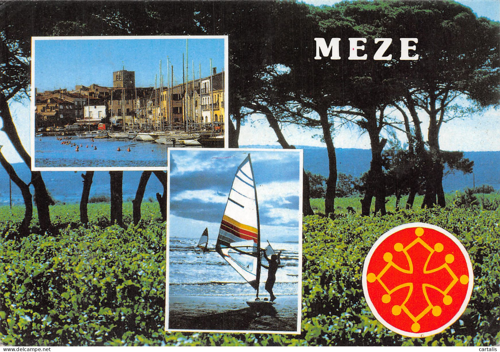 34-MEZE-N°C4102-C/0049 - Mèze