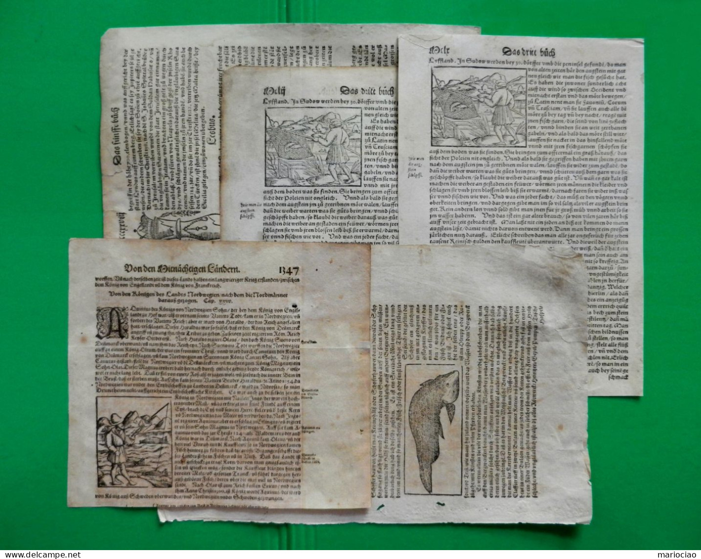 ST-DE LOT N. 5 BLATT PAPIER 1581~ Sebastian Munster  Holzschnitt - Stiche & Gravuren