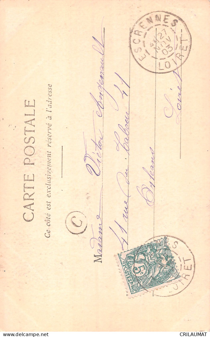 45-PITHIVIERS-N°LP5117-E/0111 - Pithiviers