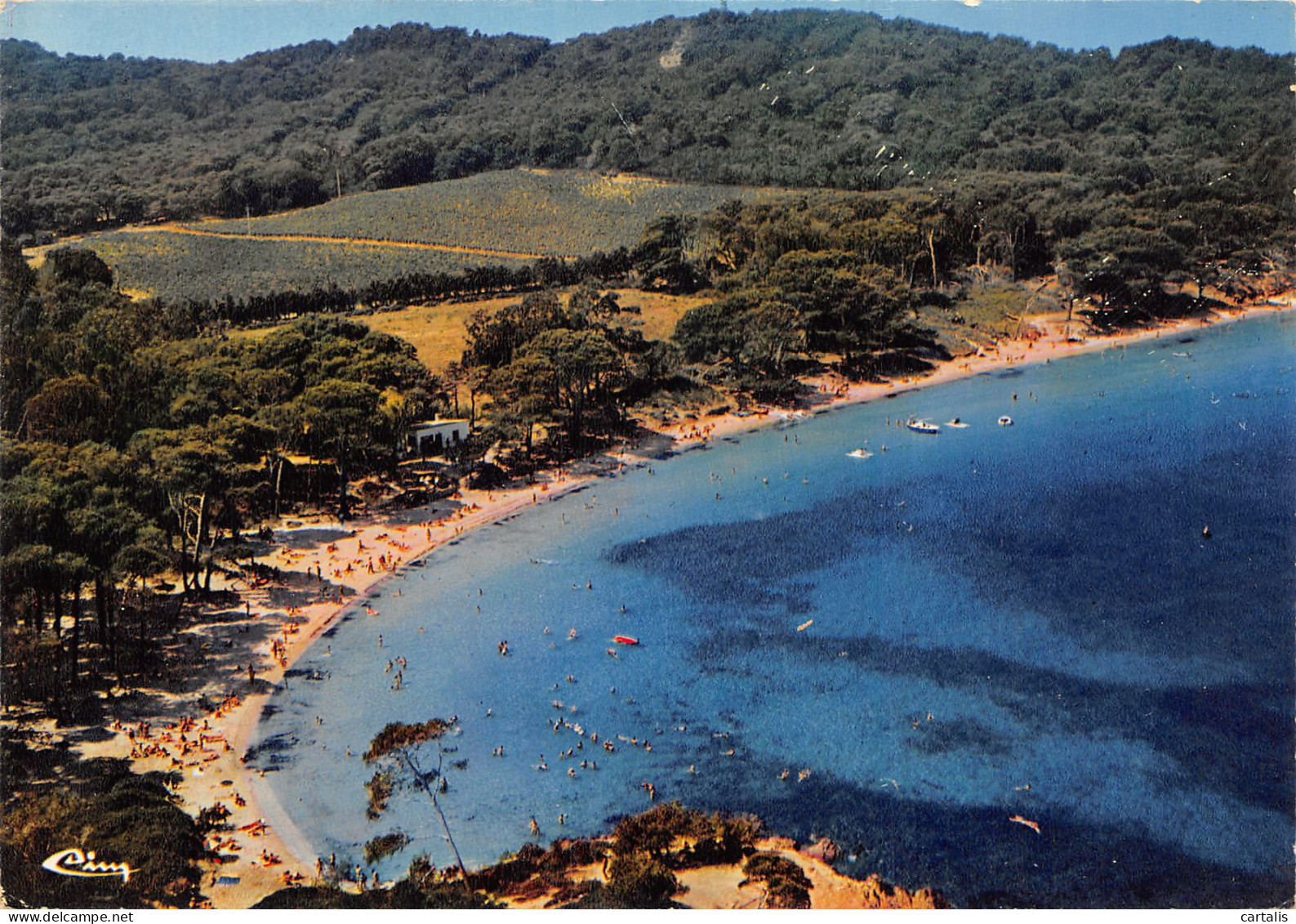 83-PORQUEROLLES-N°C4104-C/0361 - Porquerolles