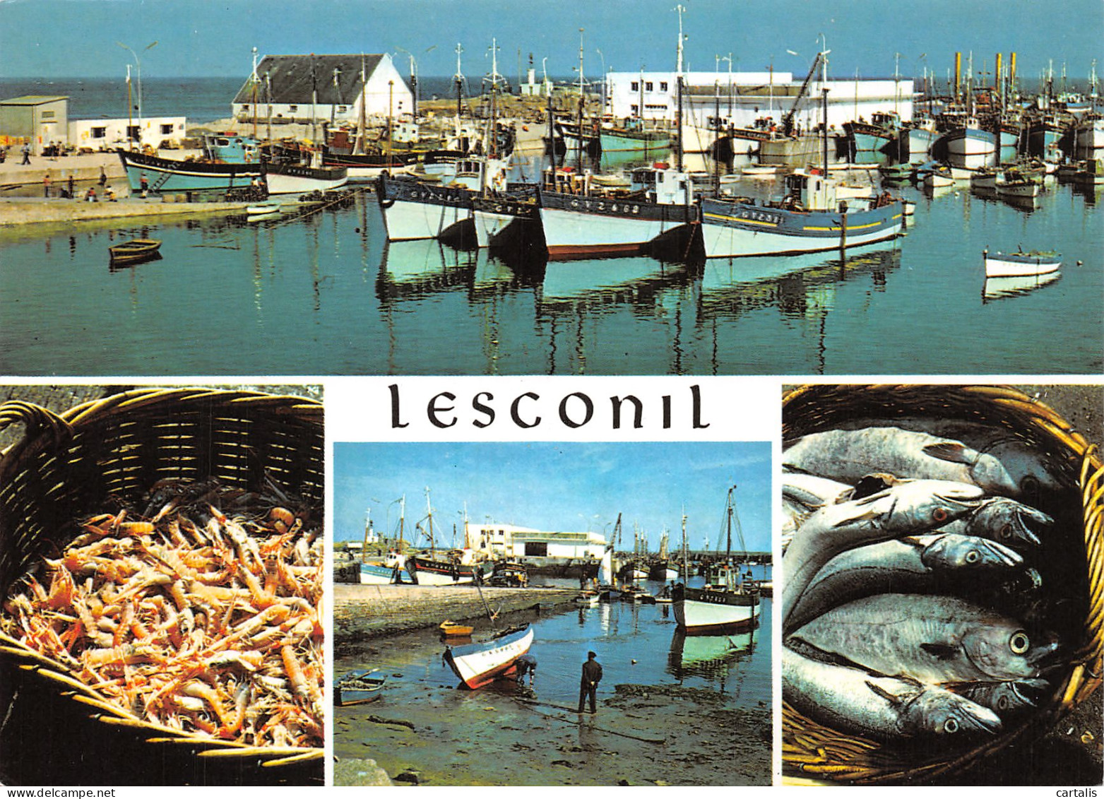 29-LESCONIL-N°C4105-D/0165 - Lesconil