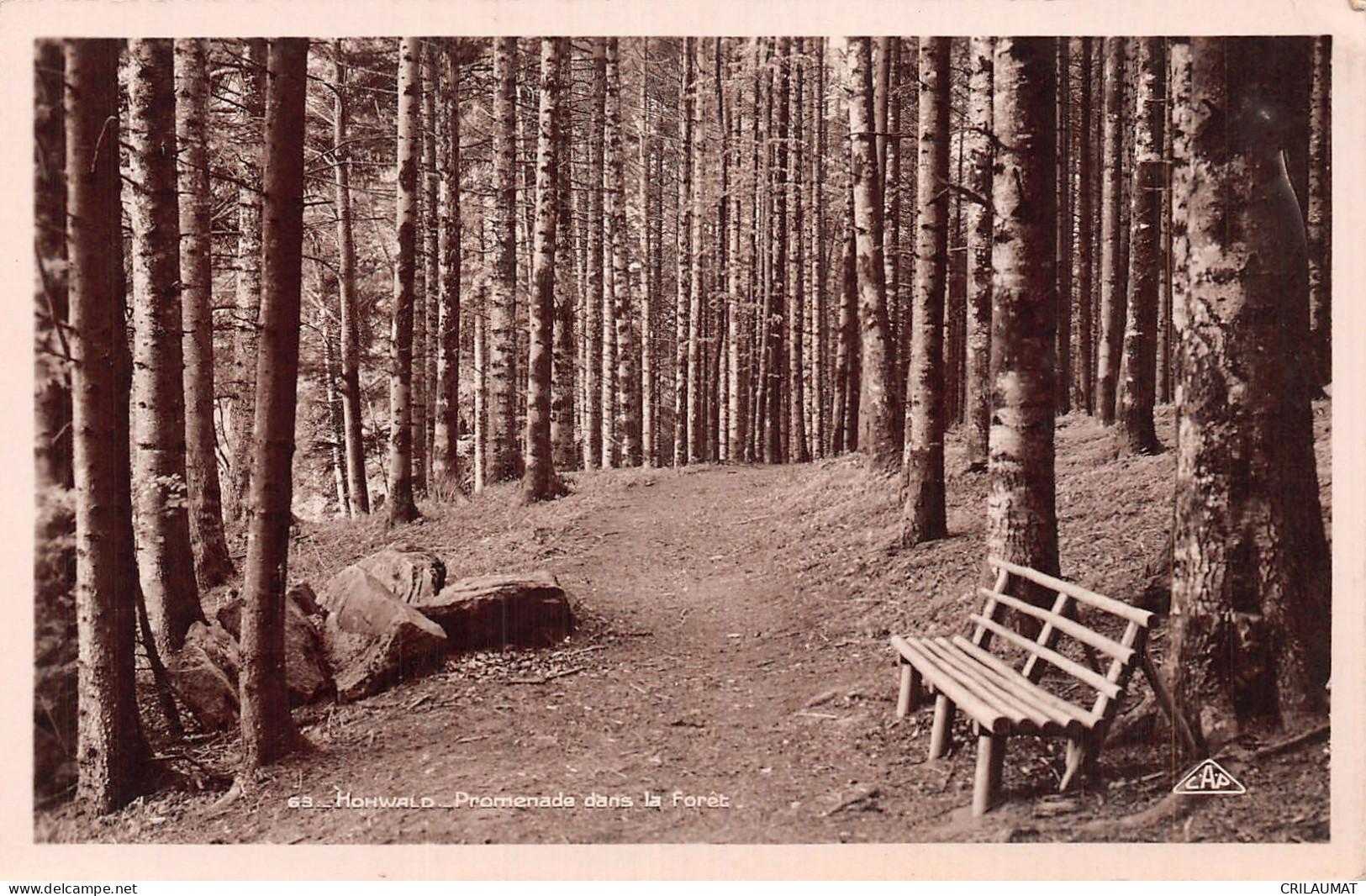 67-HOHWALD-N°LP5118-G/0117 - Hochfelden