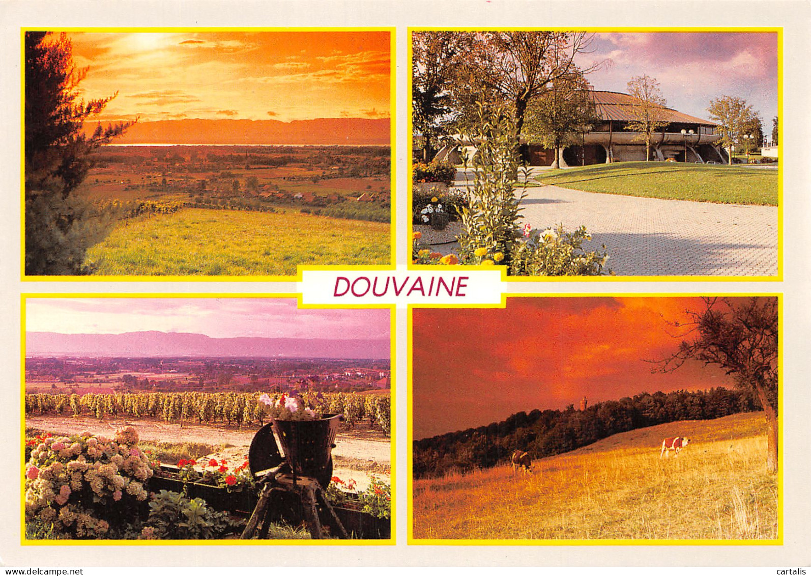 74-DOUVAINE-N°C4106-D/0365 - Douvaine