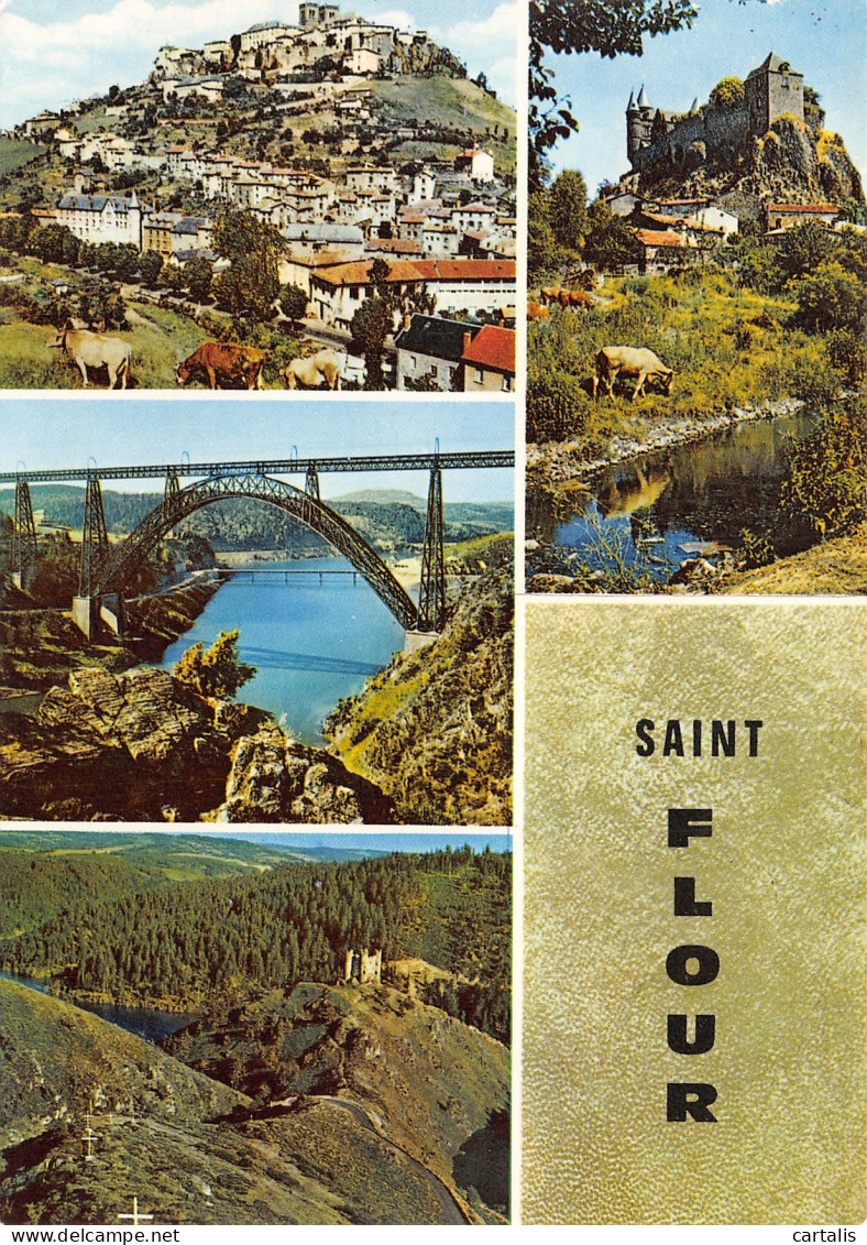 15-SAINT FLOUR-N°C4106-D/0083 - Saint Flour