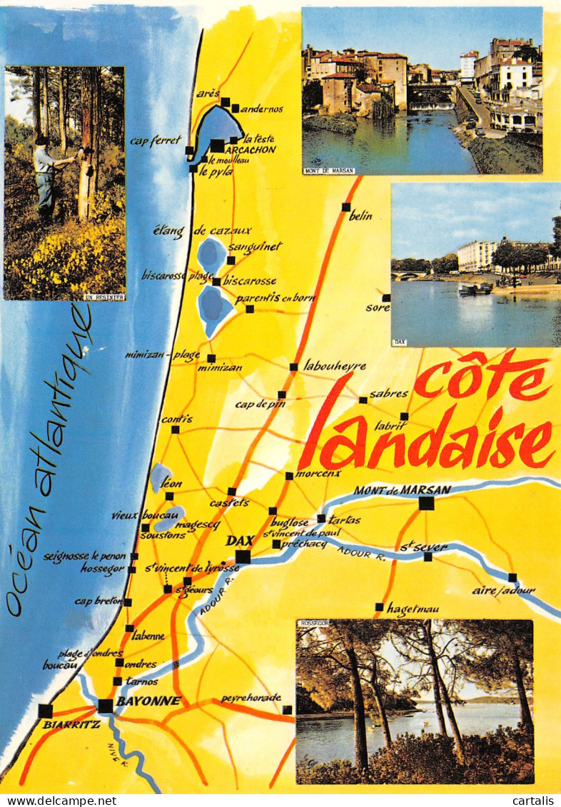 40-COTE LANDAISE-N°C4106-C/0279 - Autres & Non Classés