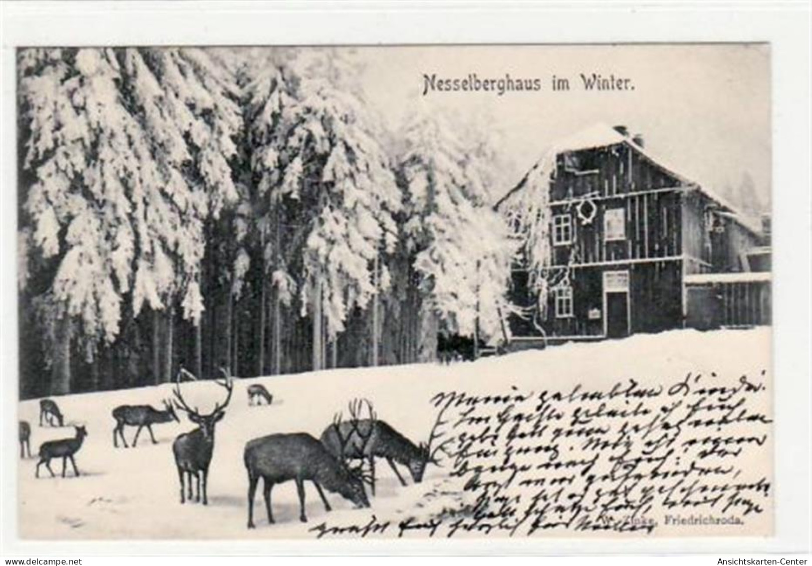 39002407 - Nesselberghaus Im Winter Bei Friedrichroda I. Thuer. Gelaufen 1903. Top Erhaltung. - Friedrichroda