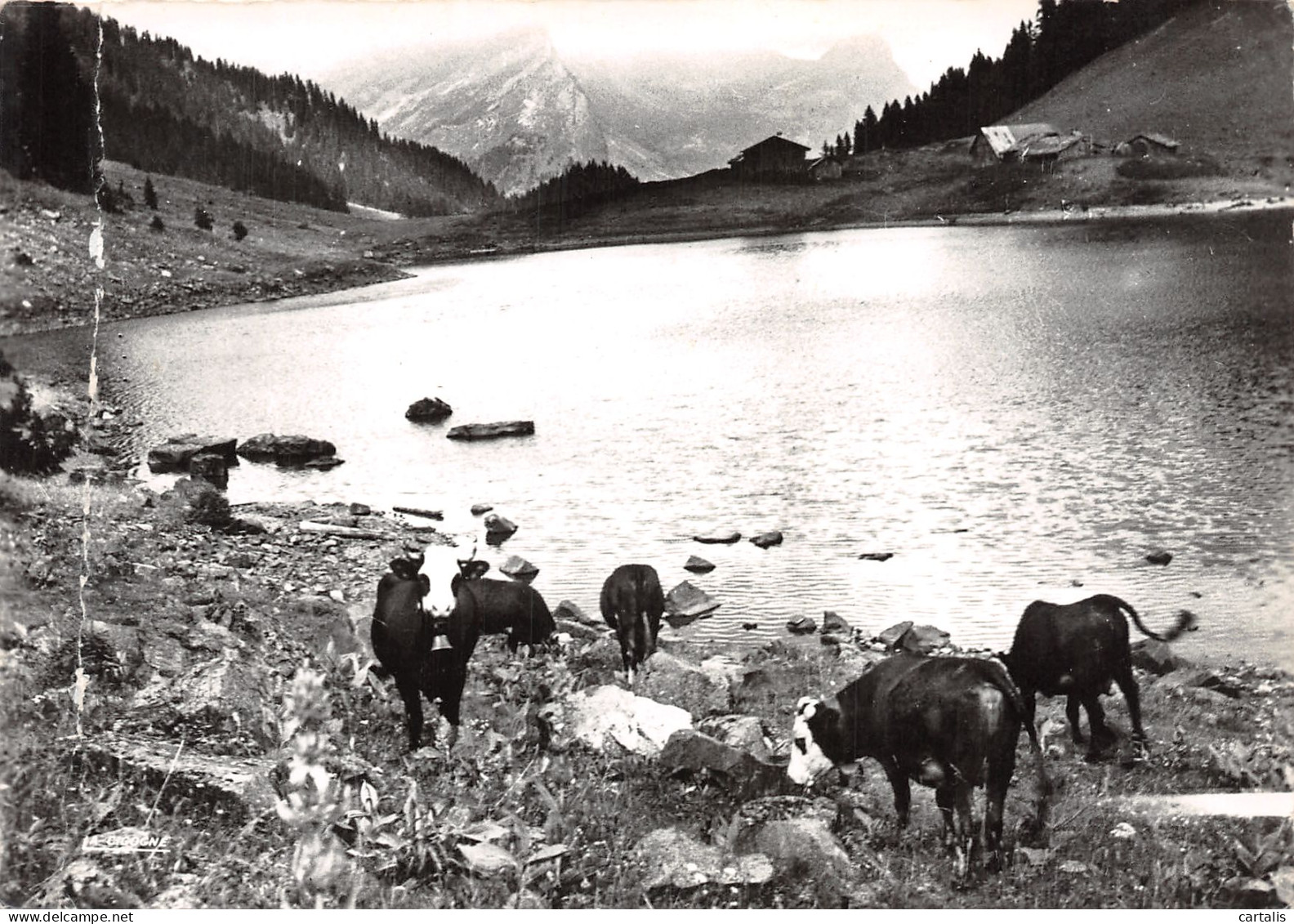 74-SAMOENS-N°C4107-B/0349 - Samoëns