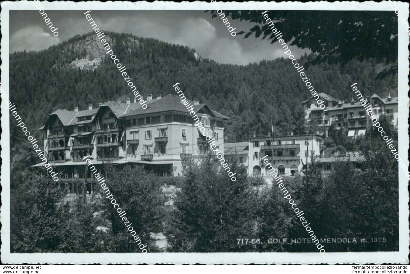 Bm306 Cartolina Golf Hotel Mendola Provincia Di Trento - Trento