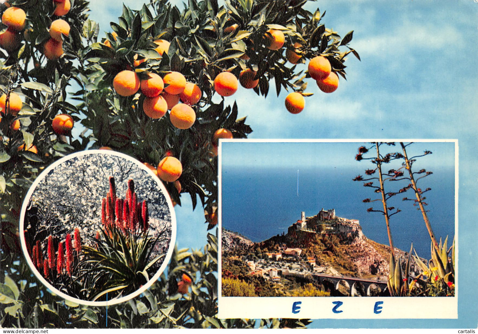 06-EZE-N°C4108-C/0023 - Eze