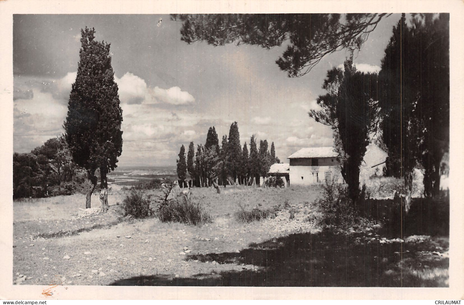 84-CAVAILLON-N°LP5120-E/0197 - Cavaillon