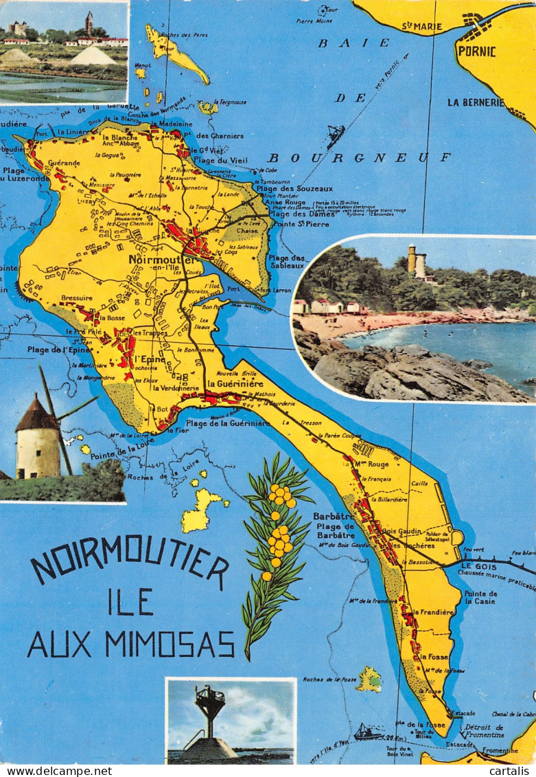 85-ILE DE NOIRMOUTIER-N°C4109-A/0067 - Ile De Noirmoutier