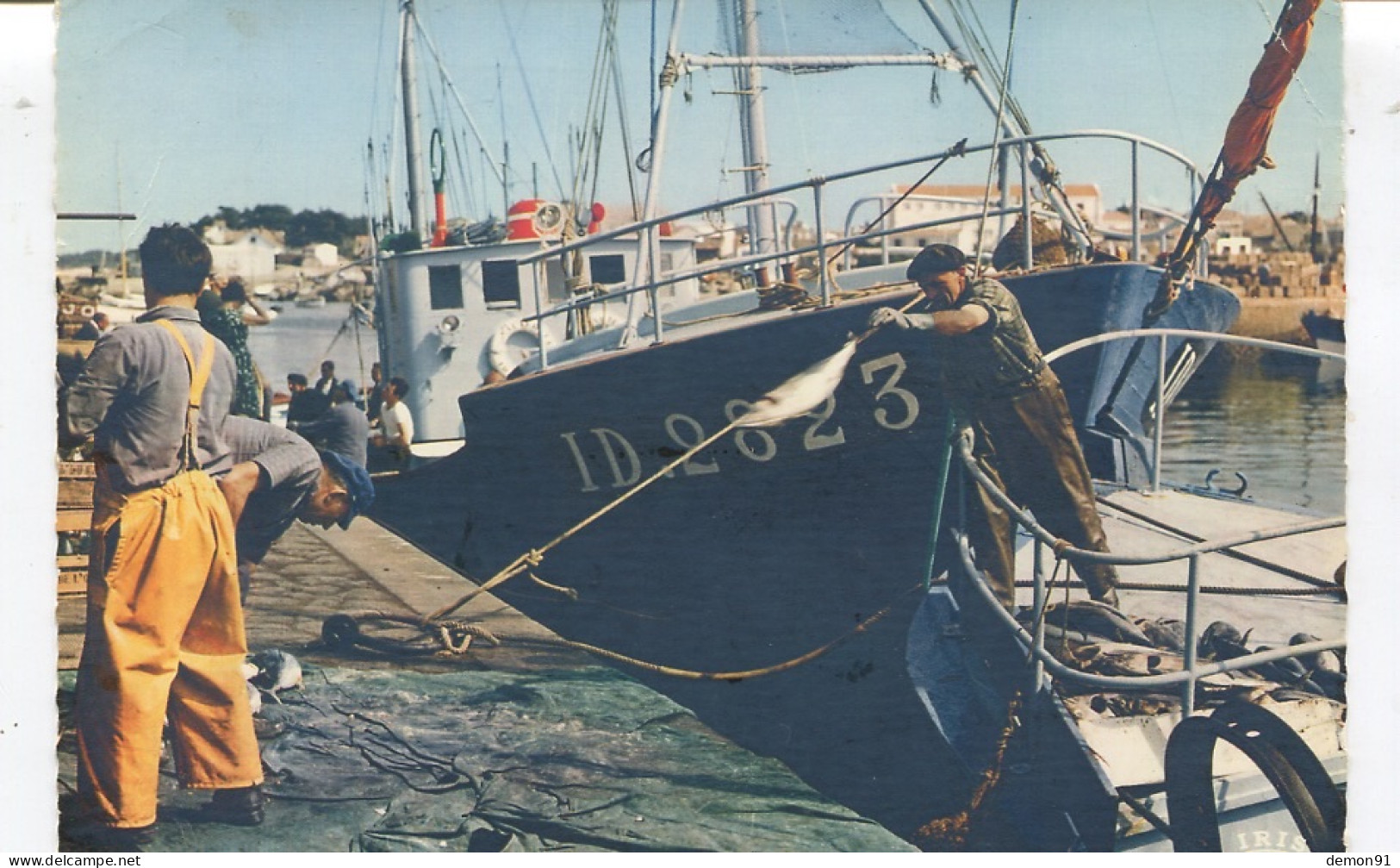 CPSM GF - ILE D'YEU - Retour De Pêche Au Thon - 1969 - - Ile D'Yeu