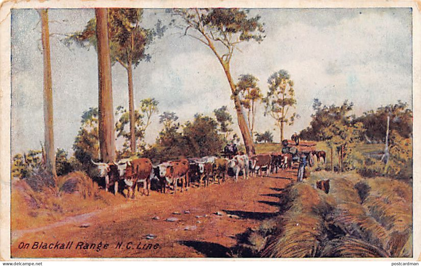 Australia - Queensland - On Blackall Range, N.C. Line - Publ. For The Panama-Pacific International Exposition In San Fra - Sonstige & Ohne Zuordnung