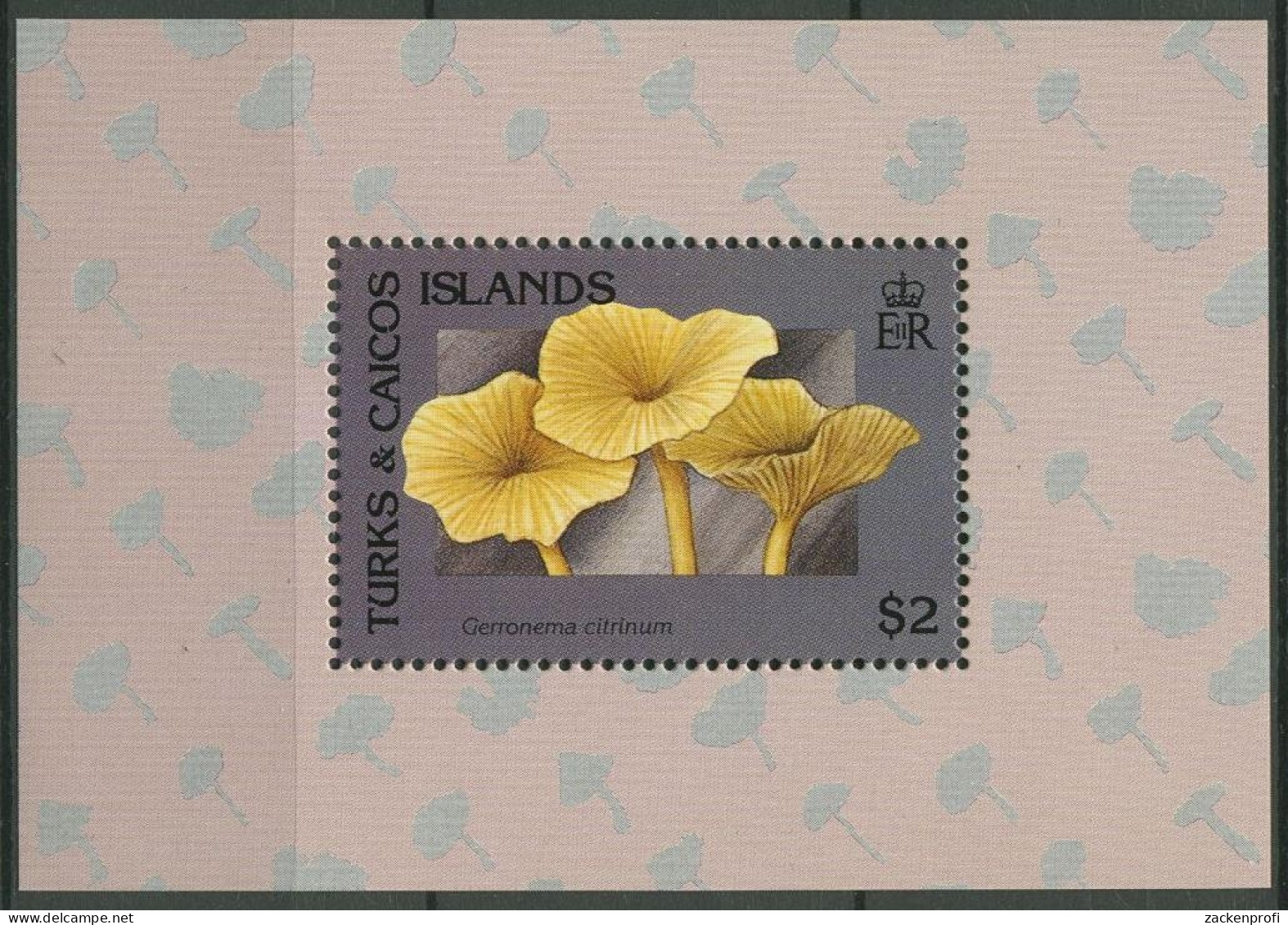 Turks- Und Caicos-Inseln 1991 Pilze Block 105 Postfrisch (C94671) - Turks- En Caicoseilanden