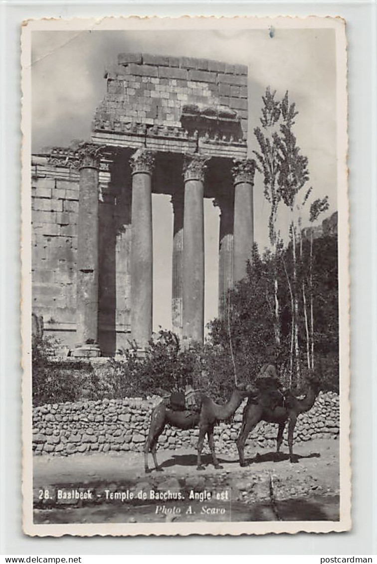 Liban - BAALBECK - Temple De Baachus - Angle Est - CARTE PHOTO - Ed. A. Scavo 28 - Libanon