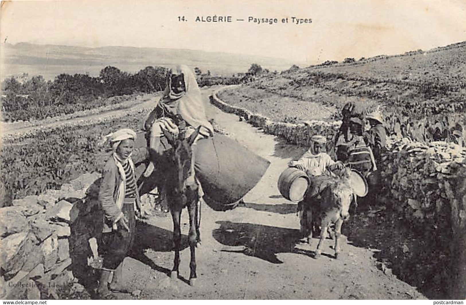 Algérie - Paysage Et Types - Ed. Collection Idéale P.S. 14 - Scènes & Types