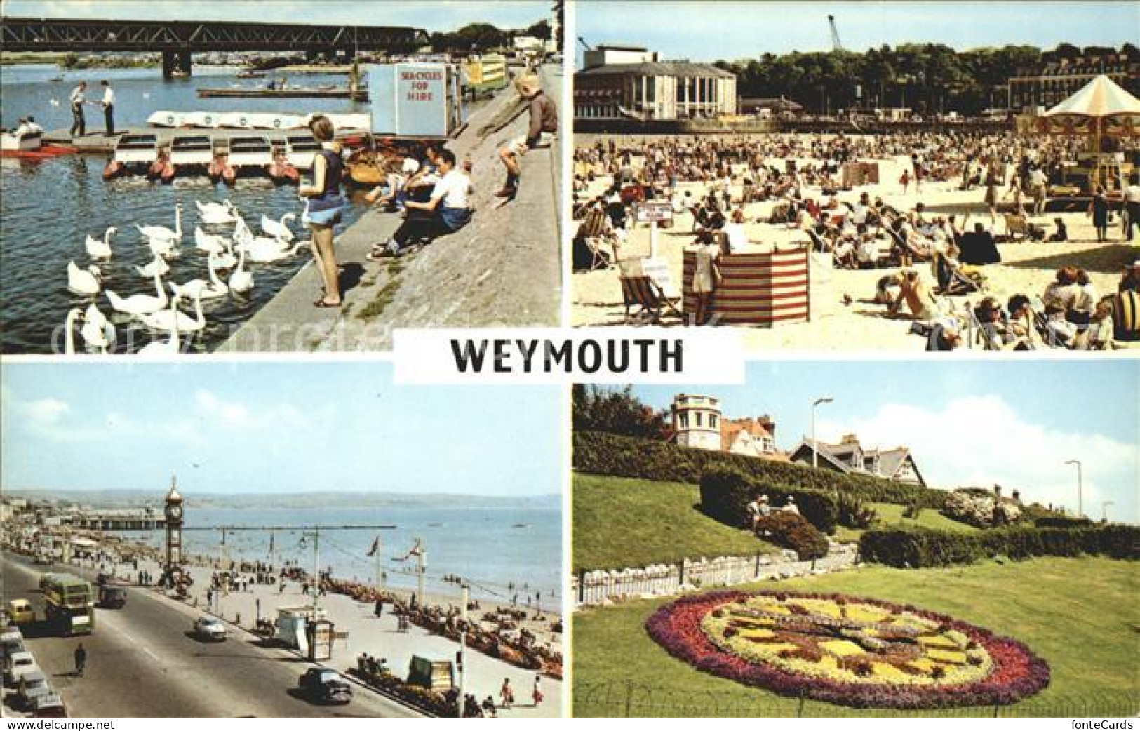11732650 Weymouth Dorset Childrens Beach Swannery Floral Clock Esplanade Weymout - Other & Unclassified