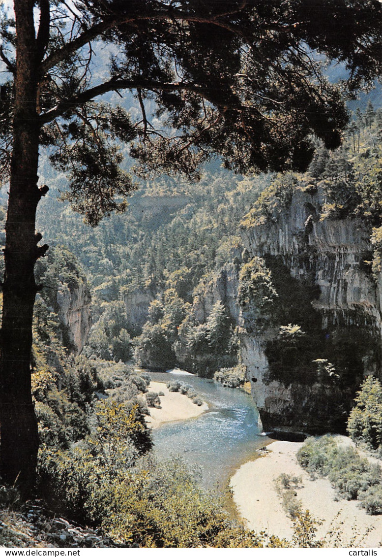 48-LES DETROITS GORGES DU TARN-N°C4112-D/0241 - Sonstige & Ohne Zuordnung