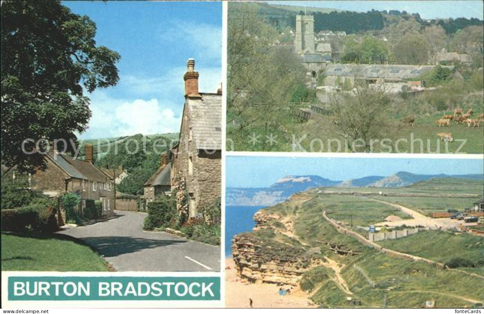 11732630 Burton Bradstock Ortspartie Panorama Landschaft West Dorset - Altri & Non Classificati