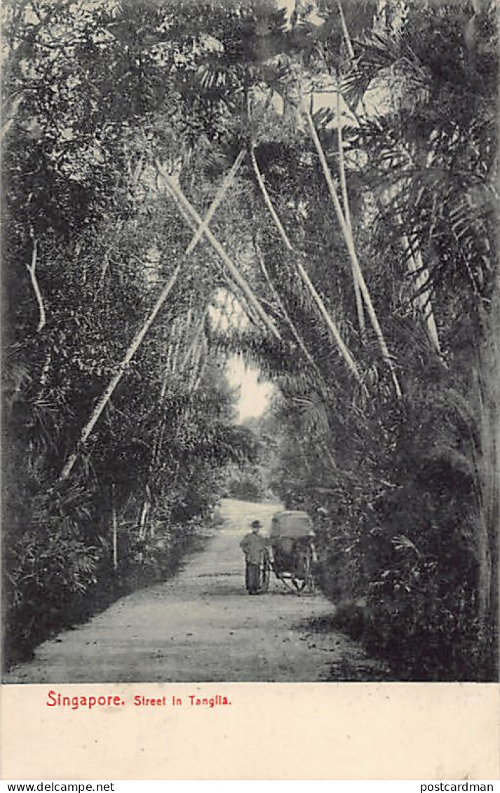 Singapore - Street In Tanglia - Publ. Max H. Hilckles 107 - Singapour