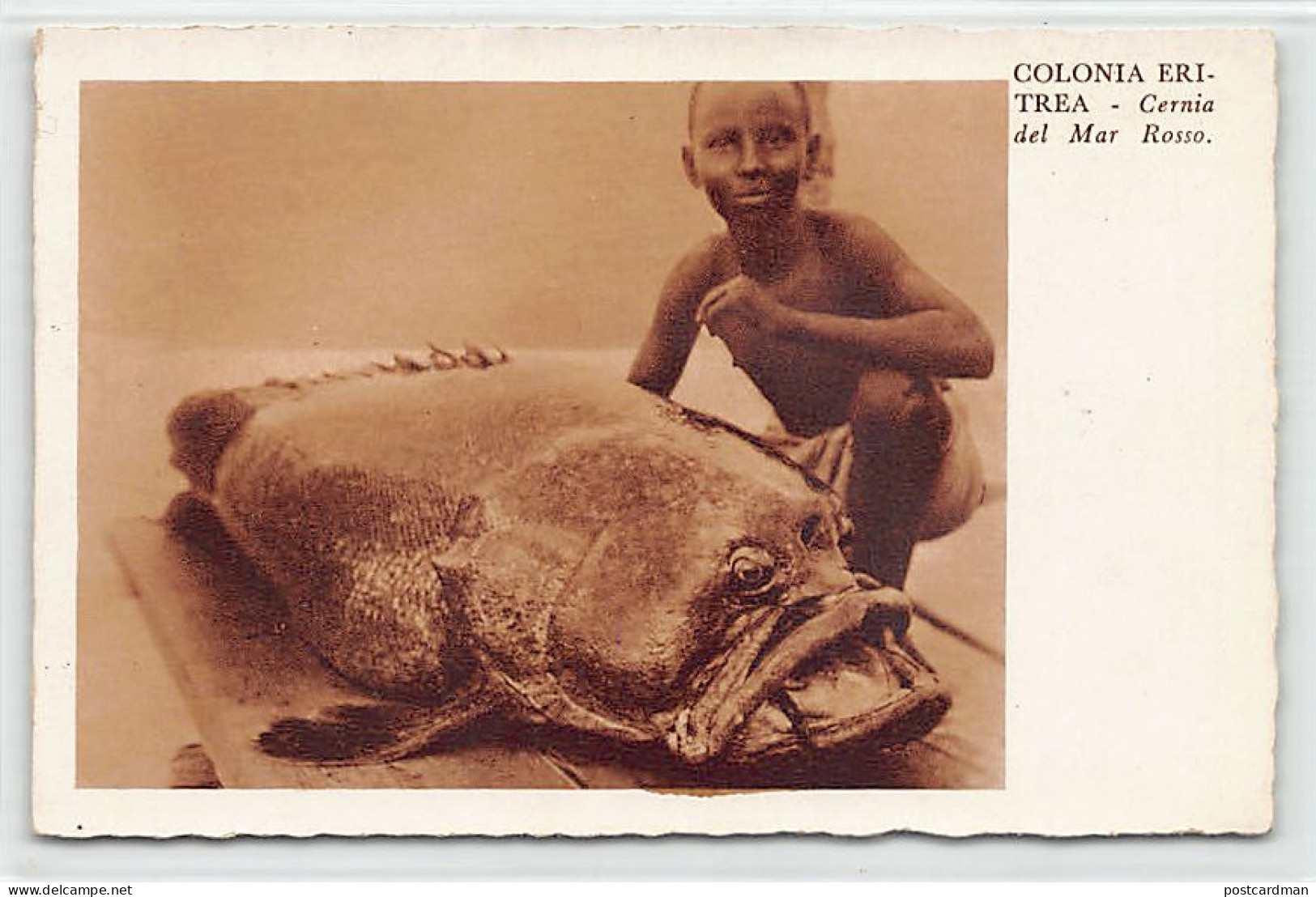 Eritrea - Red Sea Grouper - Publ. Cartoleria A.O. 40 - Eritrea
