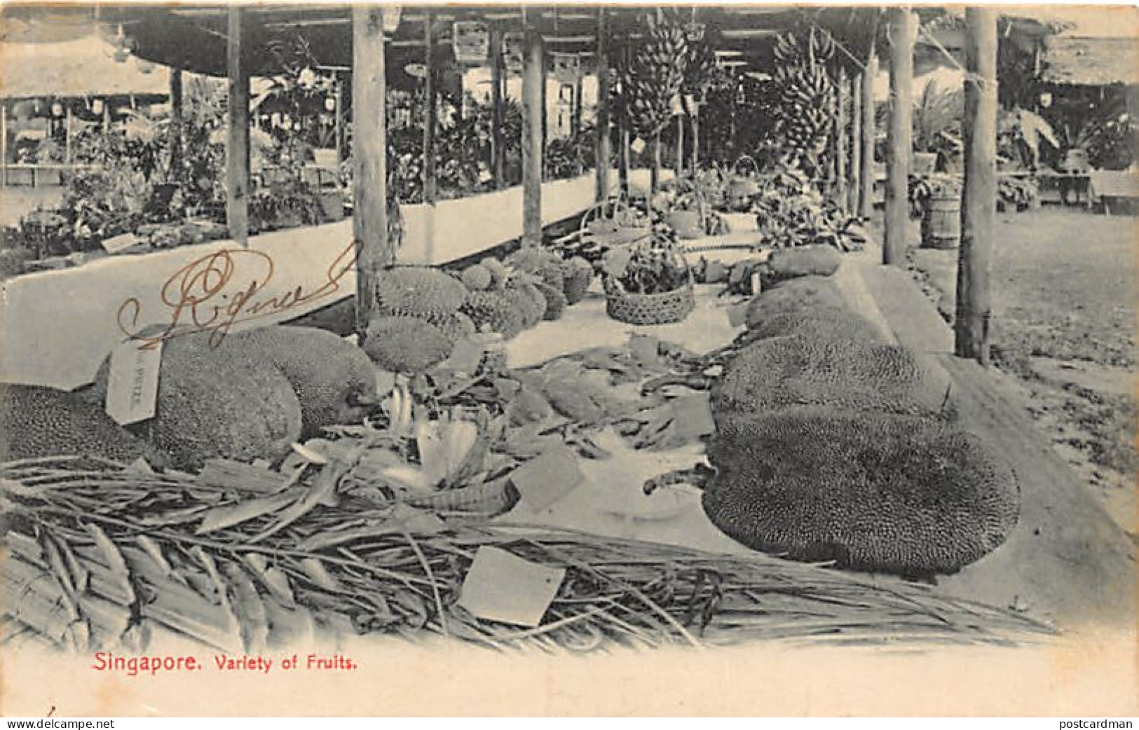 Singapore - Variety Of Fruits - Publ. Unknown  - Singapore