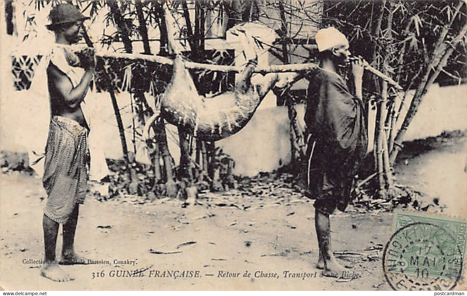 Guinée Conakry - Retour De Chasse - Transport D'une Biche - Ed. Comptoir Parisien 316 - Guinée