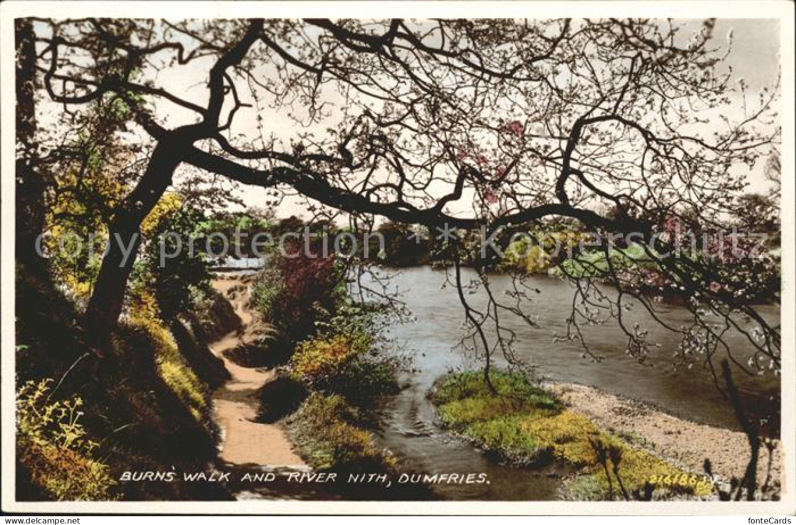 11732582 Dumfries Galloway Burns Walk And River Nith Valentine's Post Card Dumfr - Other & Unclassified