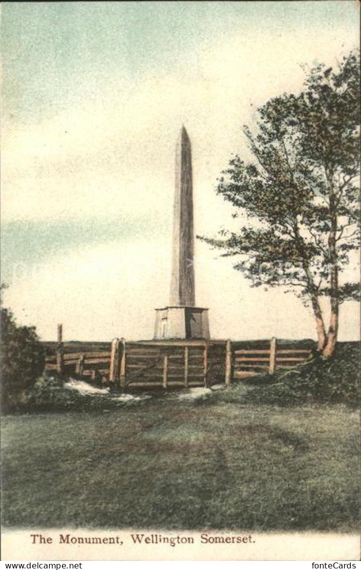 11732358 Wellington Taunton Deane Monument Taunton Deane - Other & Unclassified