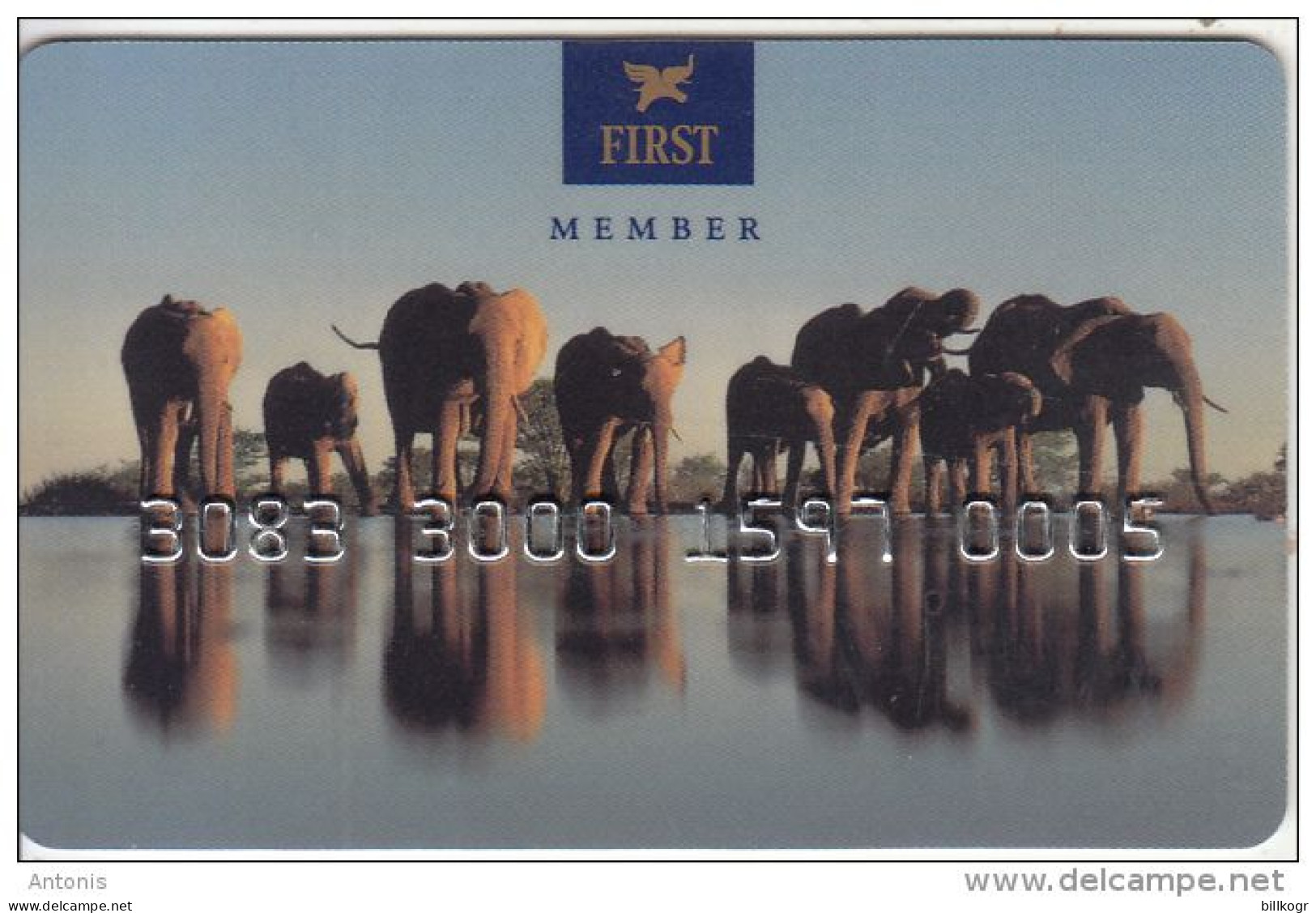 SWEDEN - Elephants, First Hotels Magnetic Member Card, Used - Hotelsleutels (kaarten)