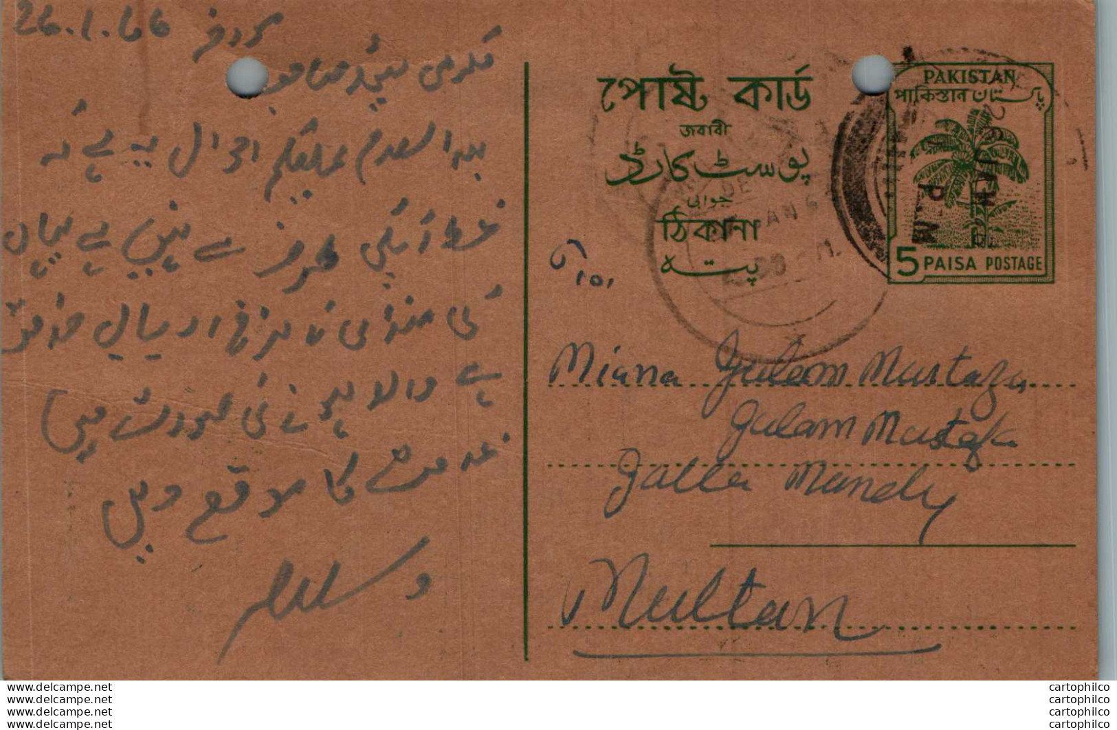 Pakistan Postal Stationery 5p Tree To Multan Kaba Bunder Road Sukkur - Pakistan