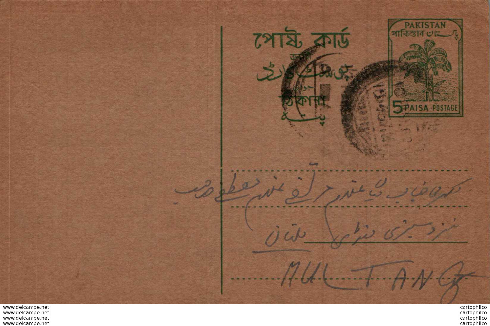 Pakistan Postal Stationery 5p Tree To Multan - Pakistan