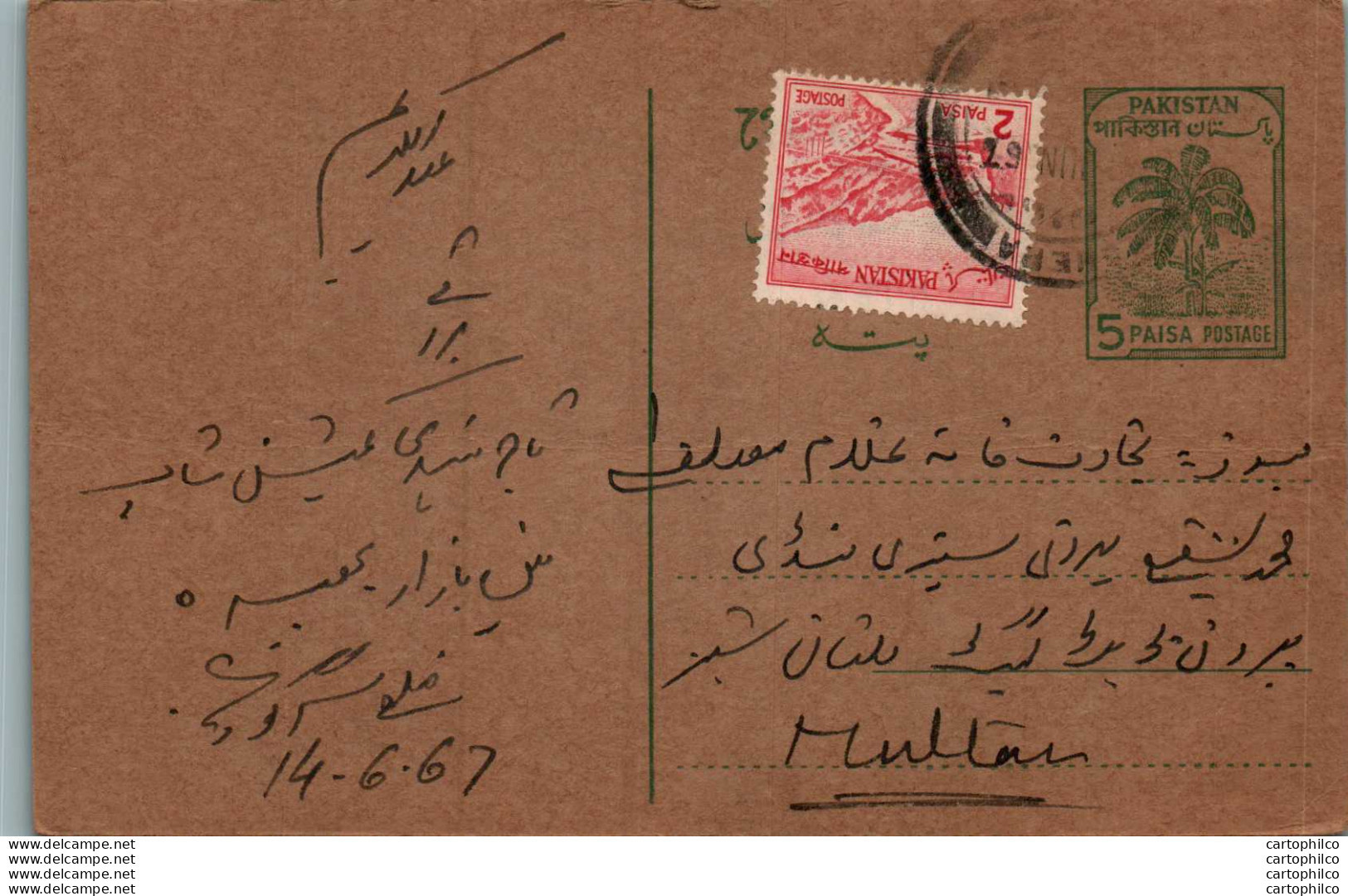 Pakistan Postal Stationery 5p Tree To Multan - Pakistan