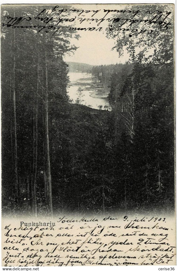 Punkaharju  Circulée En 1903 - Finland